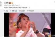 吃瓜娱乐王思聪微博,揭秘娱乐圈幕后故事